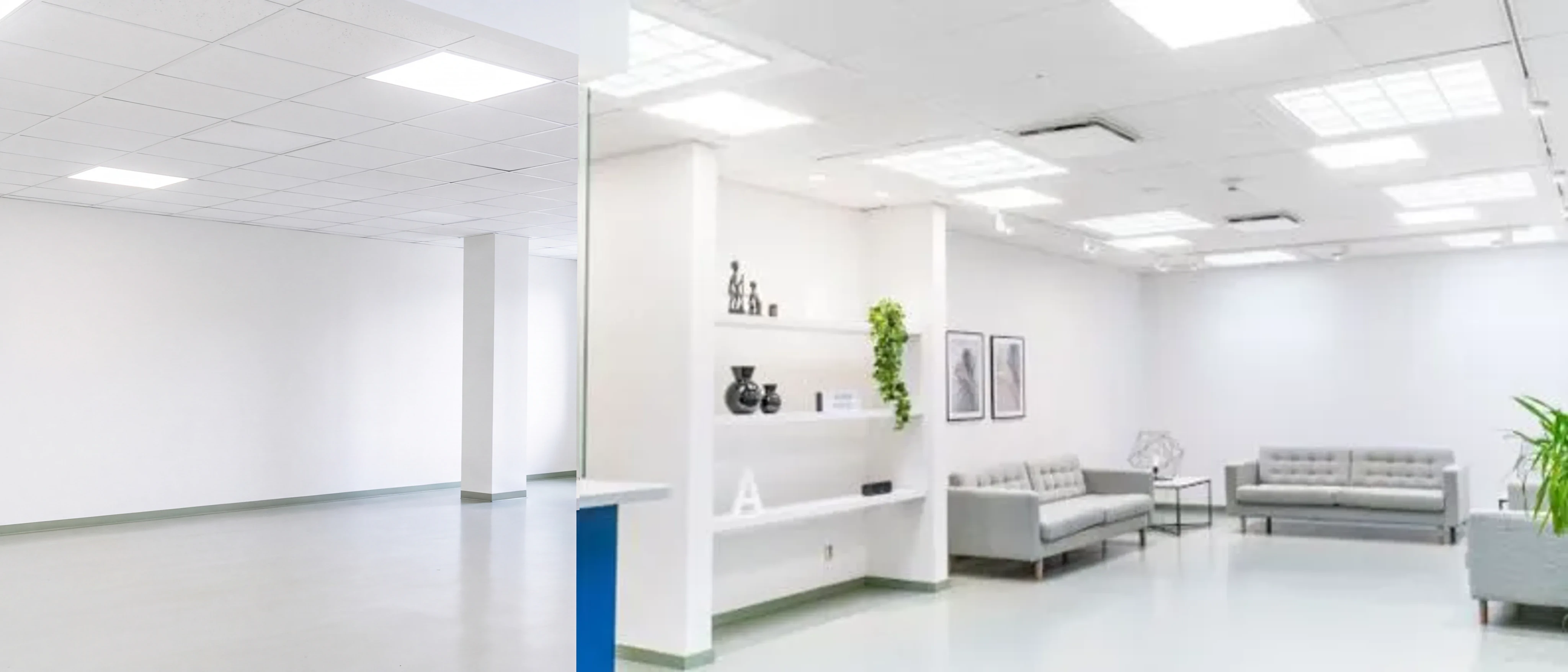 Alpha Dental