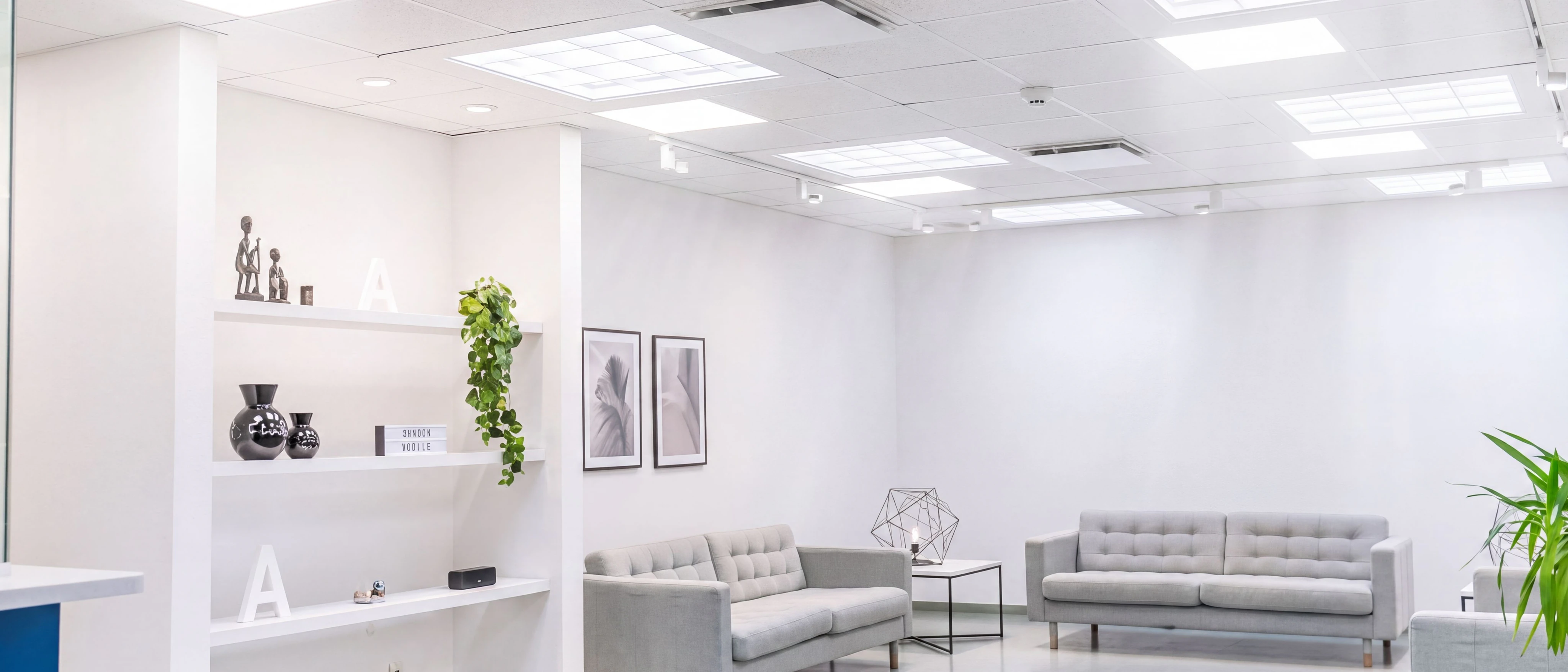 Alpha Dental