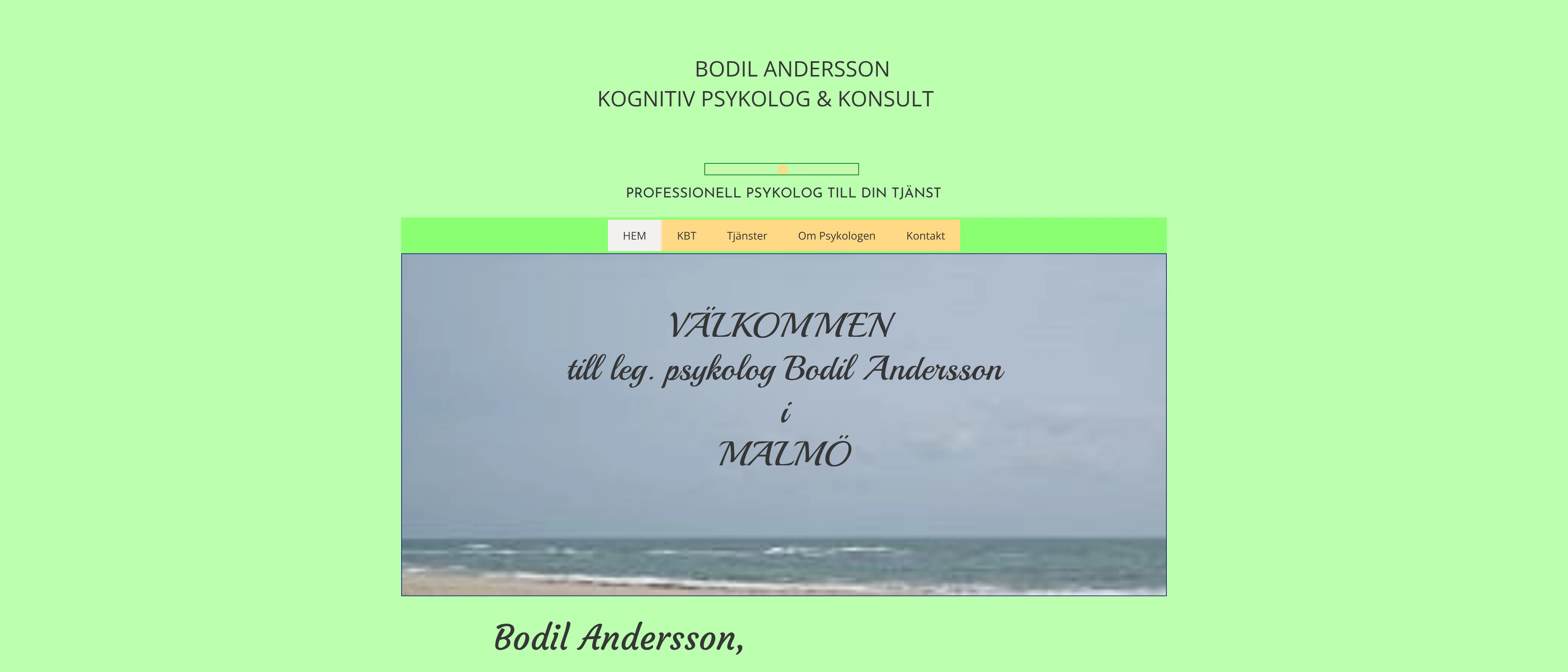 Bodil Andersson Kognitiv psykolog o Konsult, Malmö