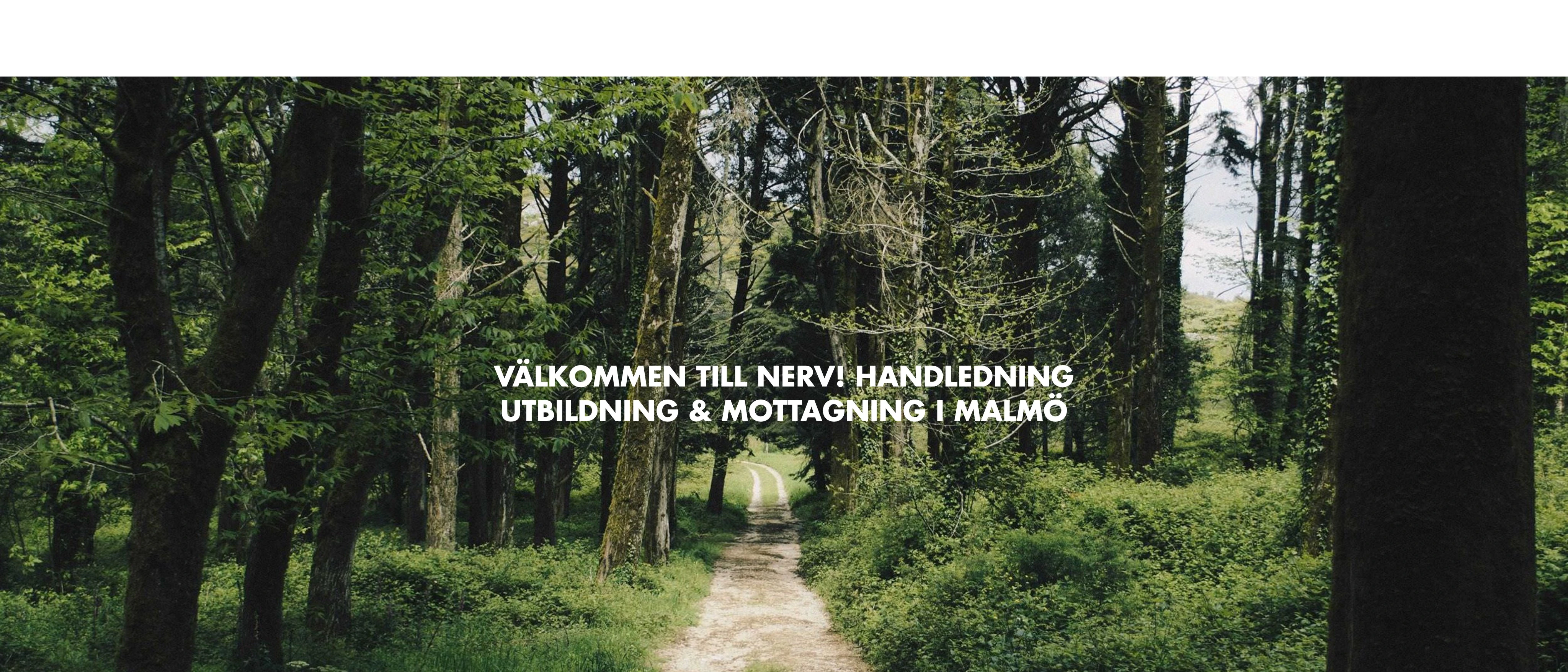 NERV Psykologmottagning Johanna Eriksson, Malmö
