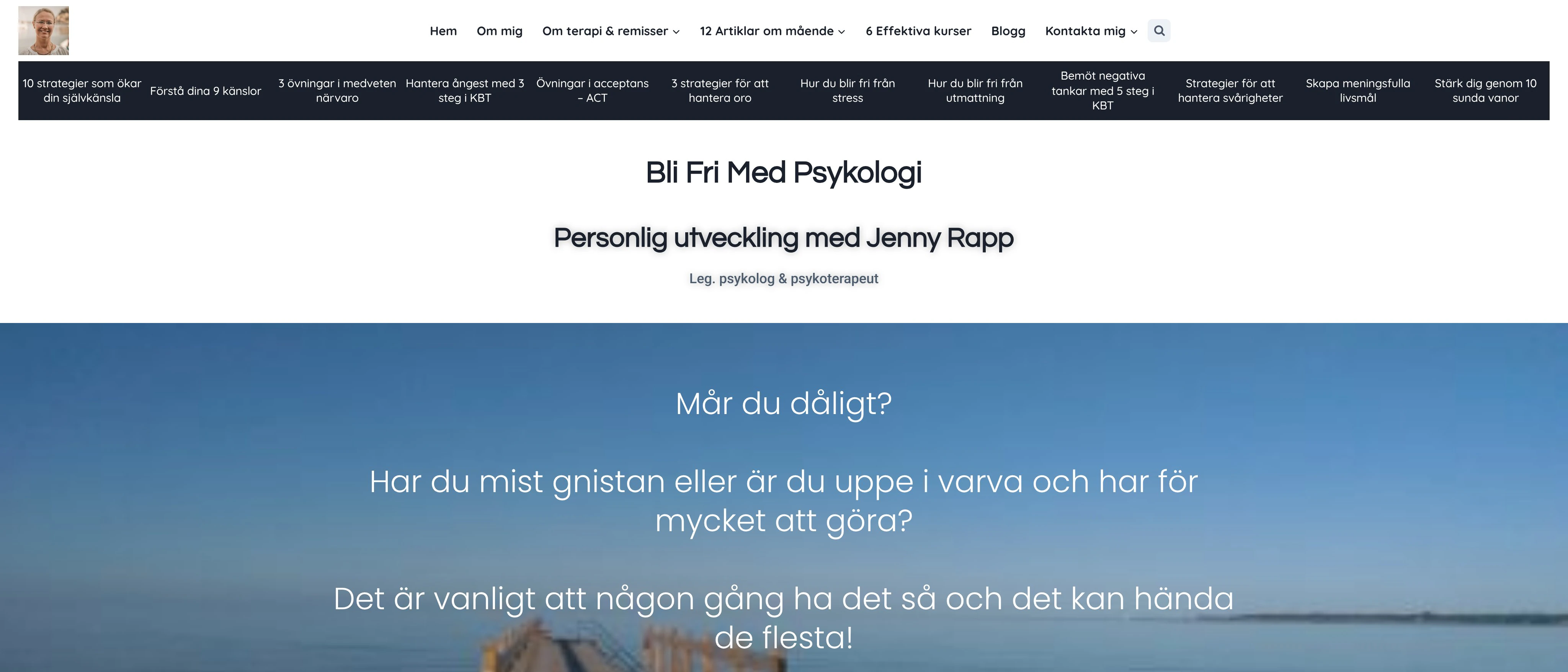 Psykolog och Konsulttjänst Insiktskompassen, Malmö