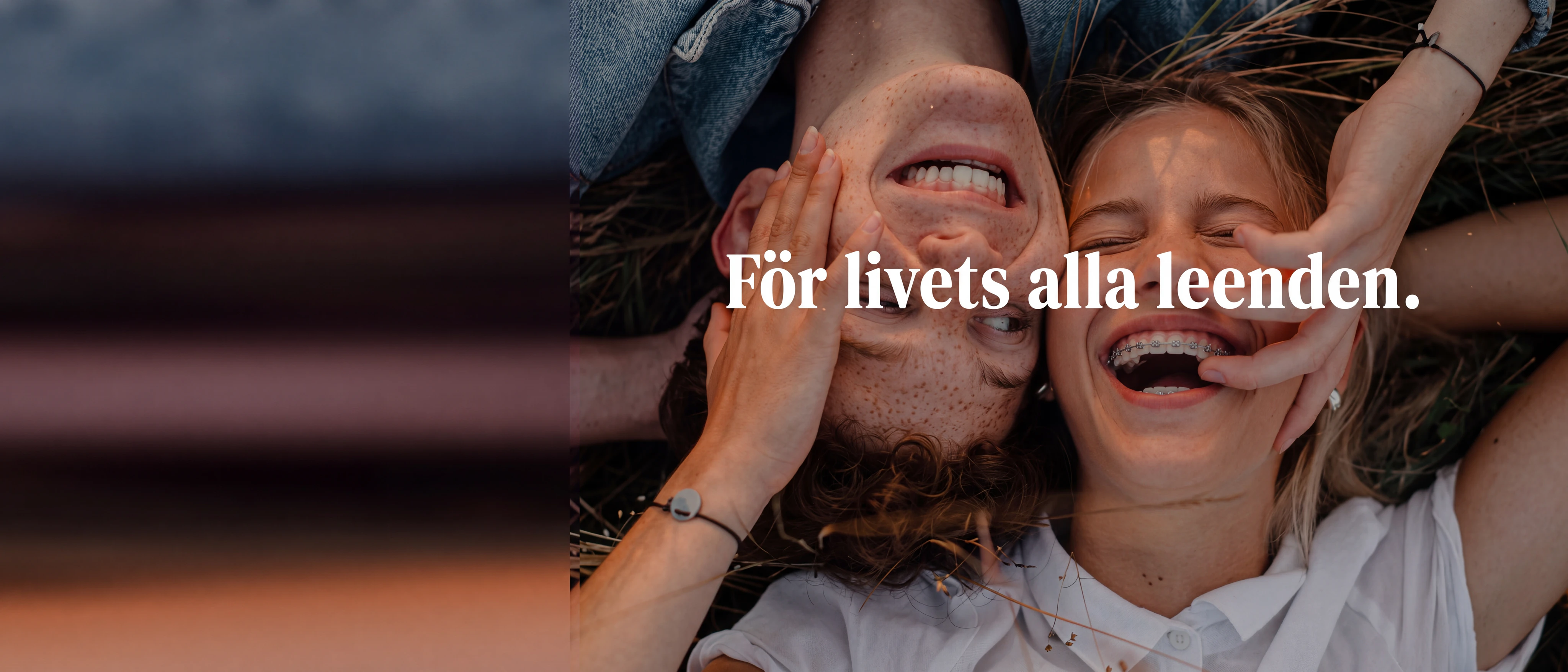 Smile Kramfors