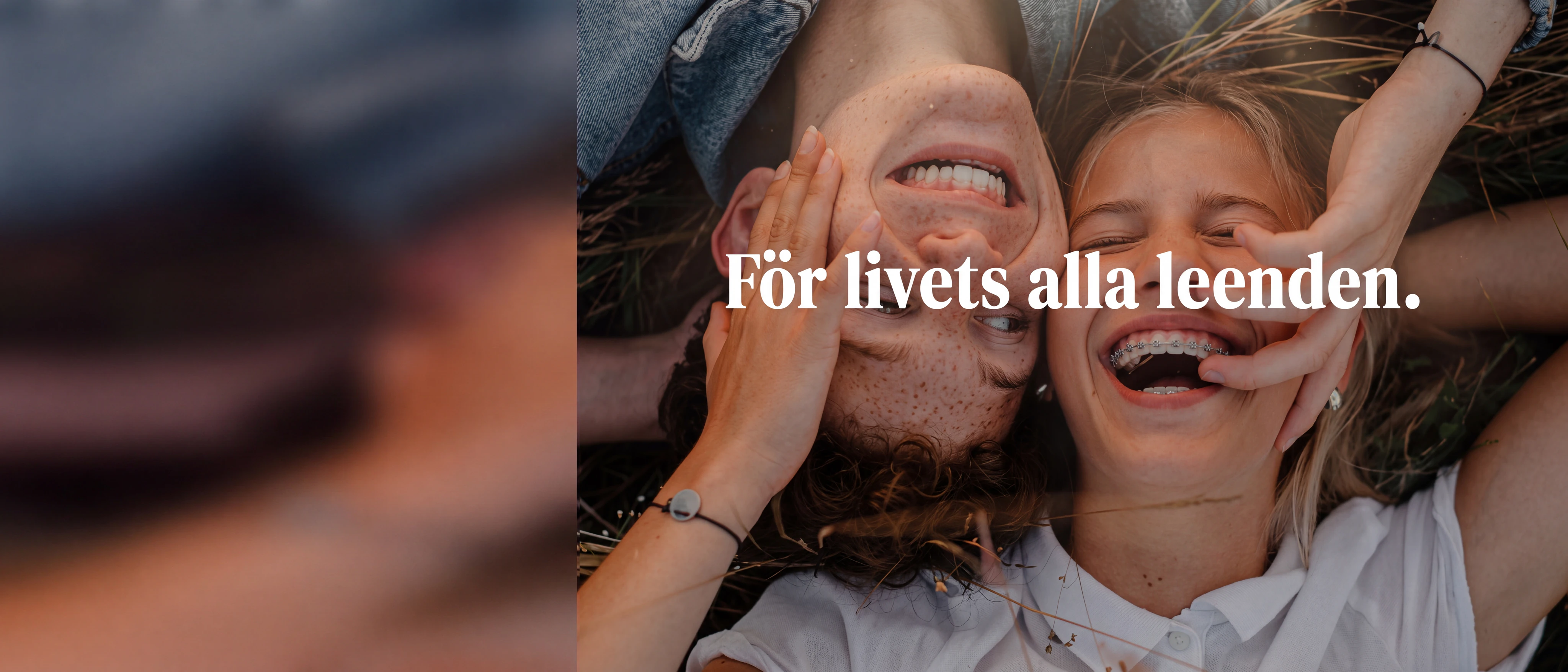 Smile Sundsvall