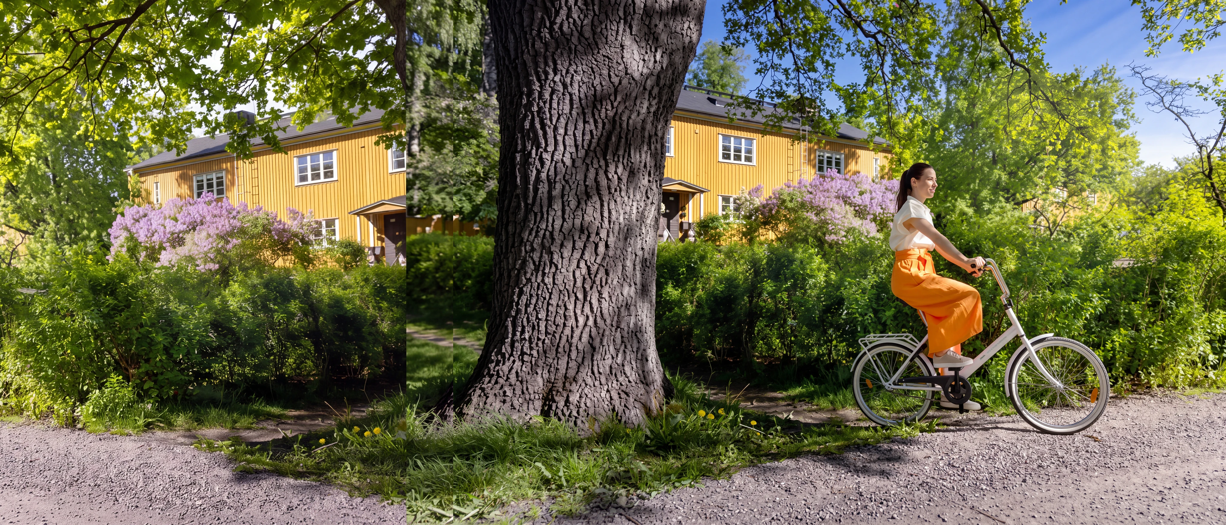 Vital Båstad
