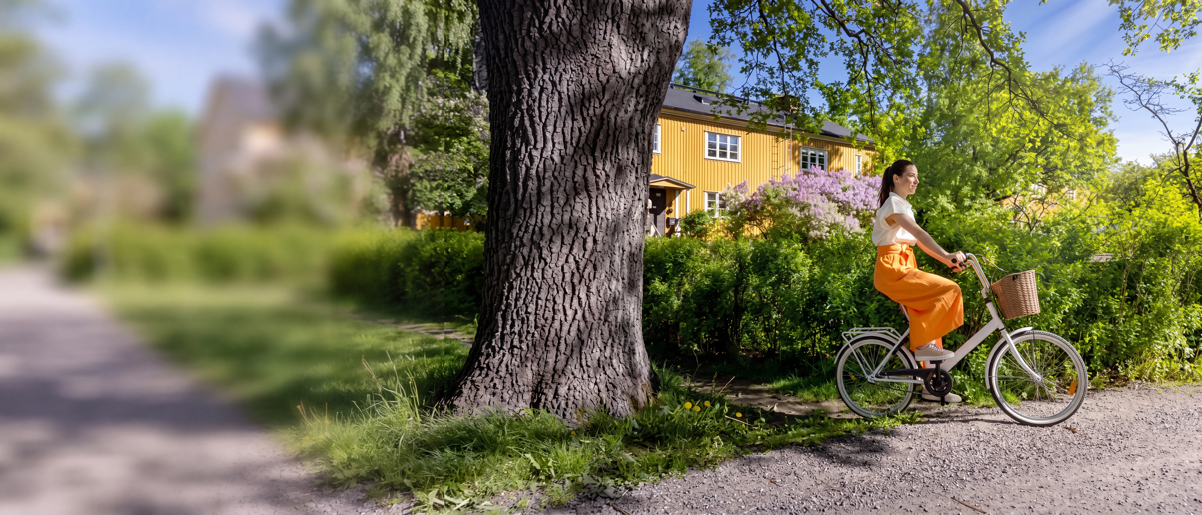Vital Borås