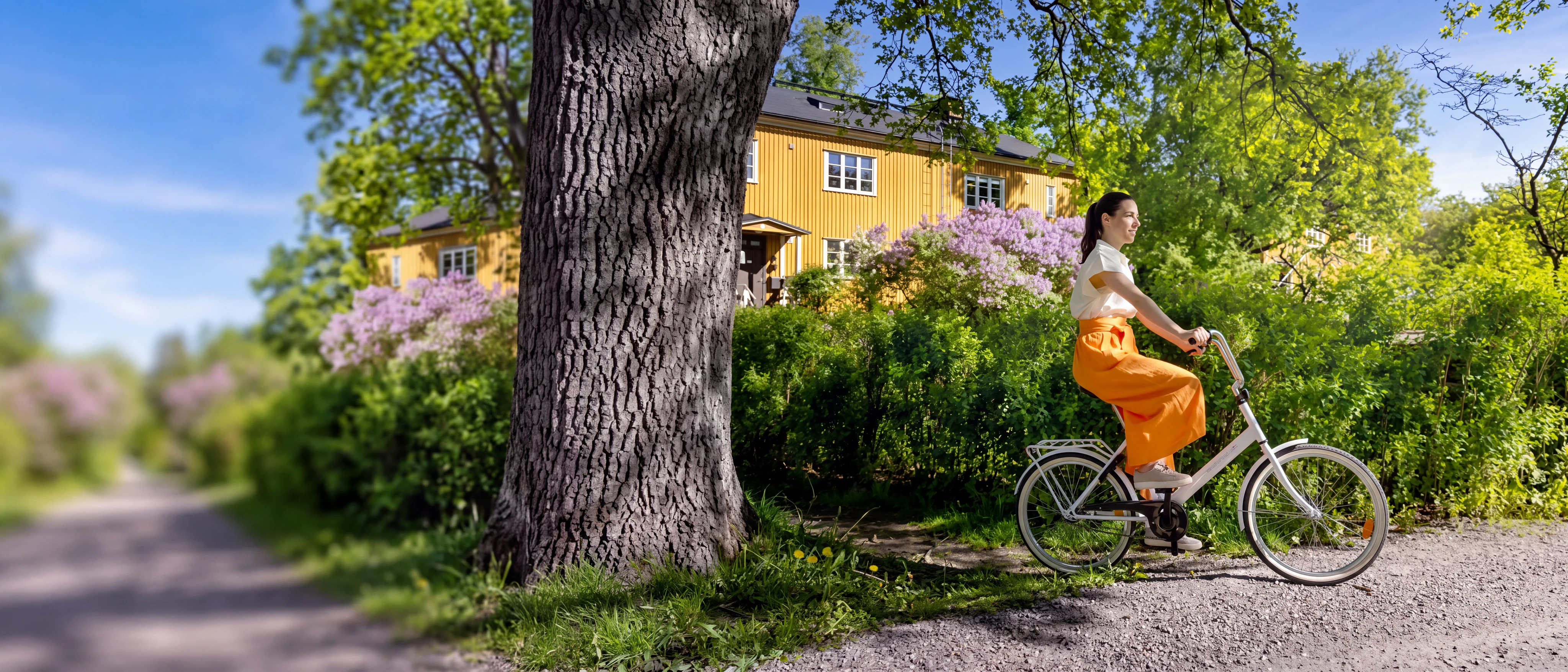 Vital Göteborg Carlandersparken