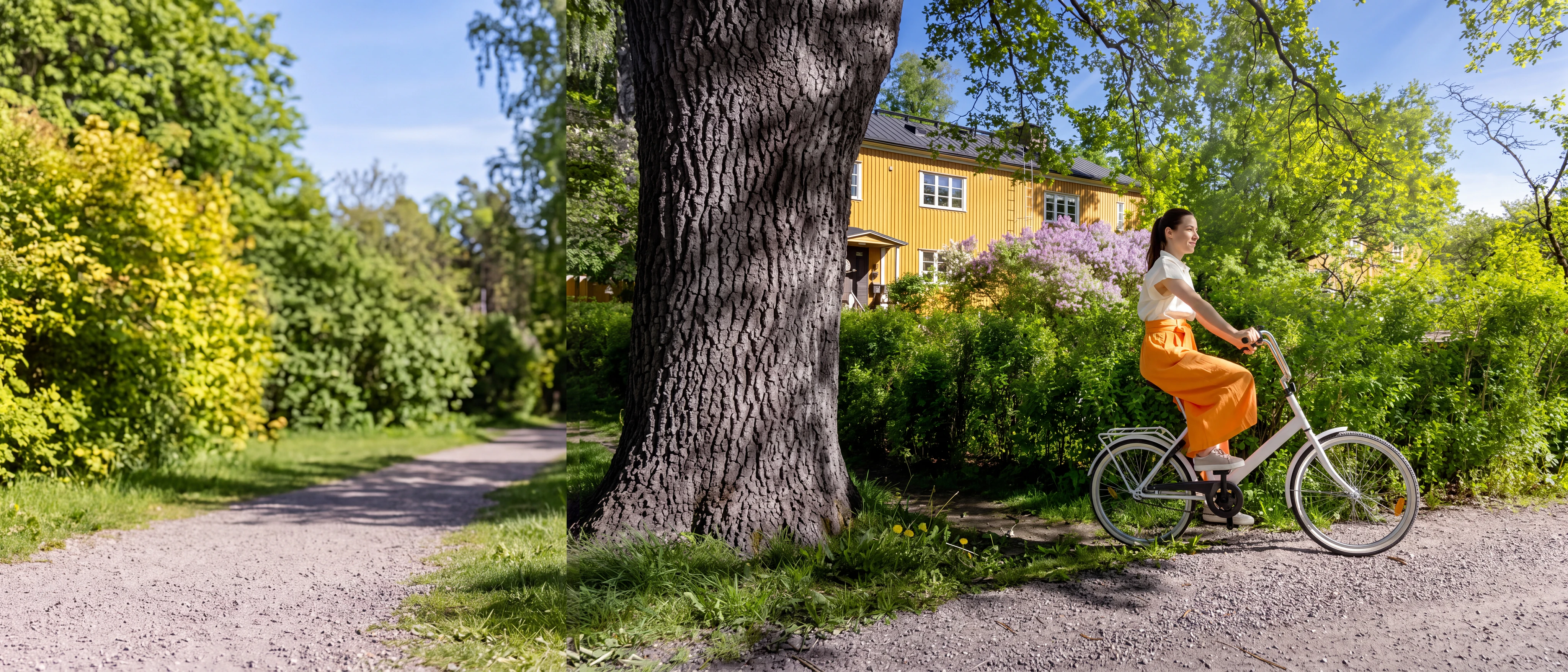 Vital Hälsningborg