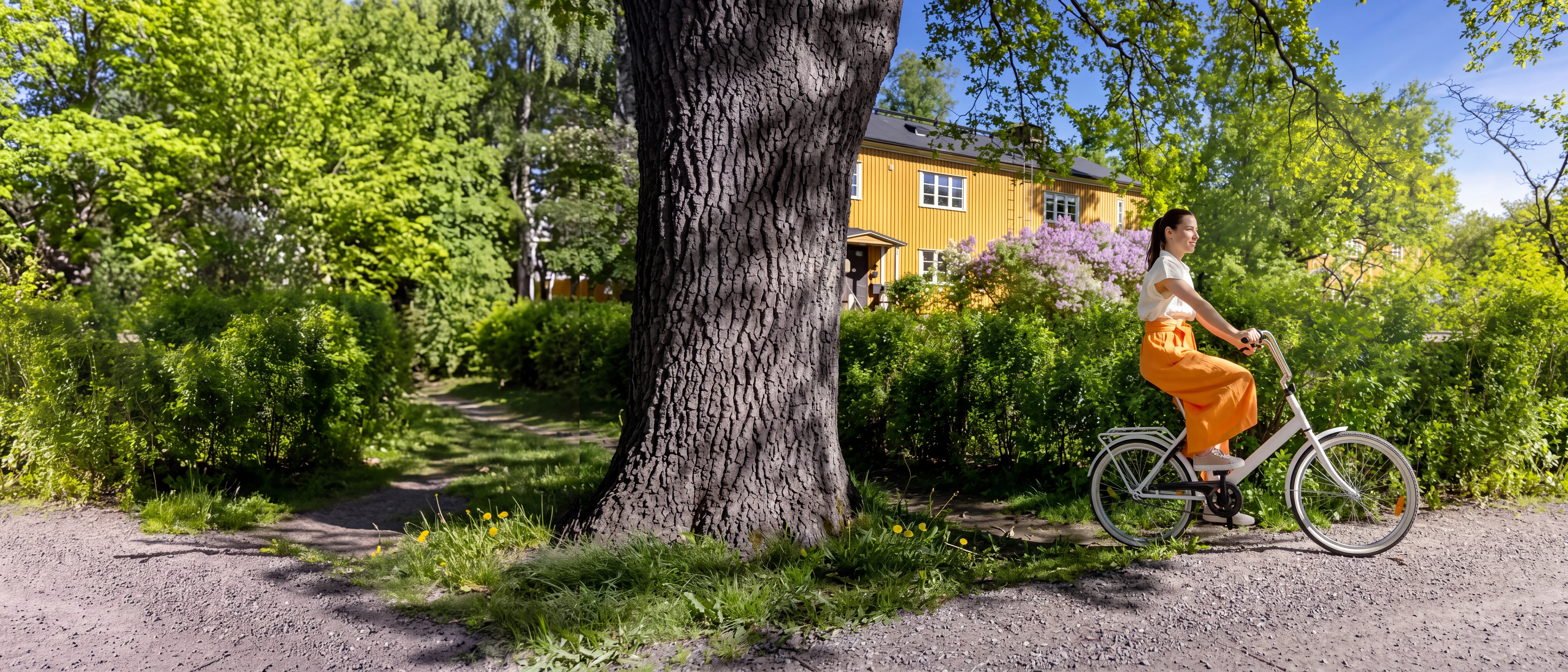 Vital Limhamn