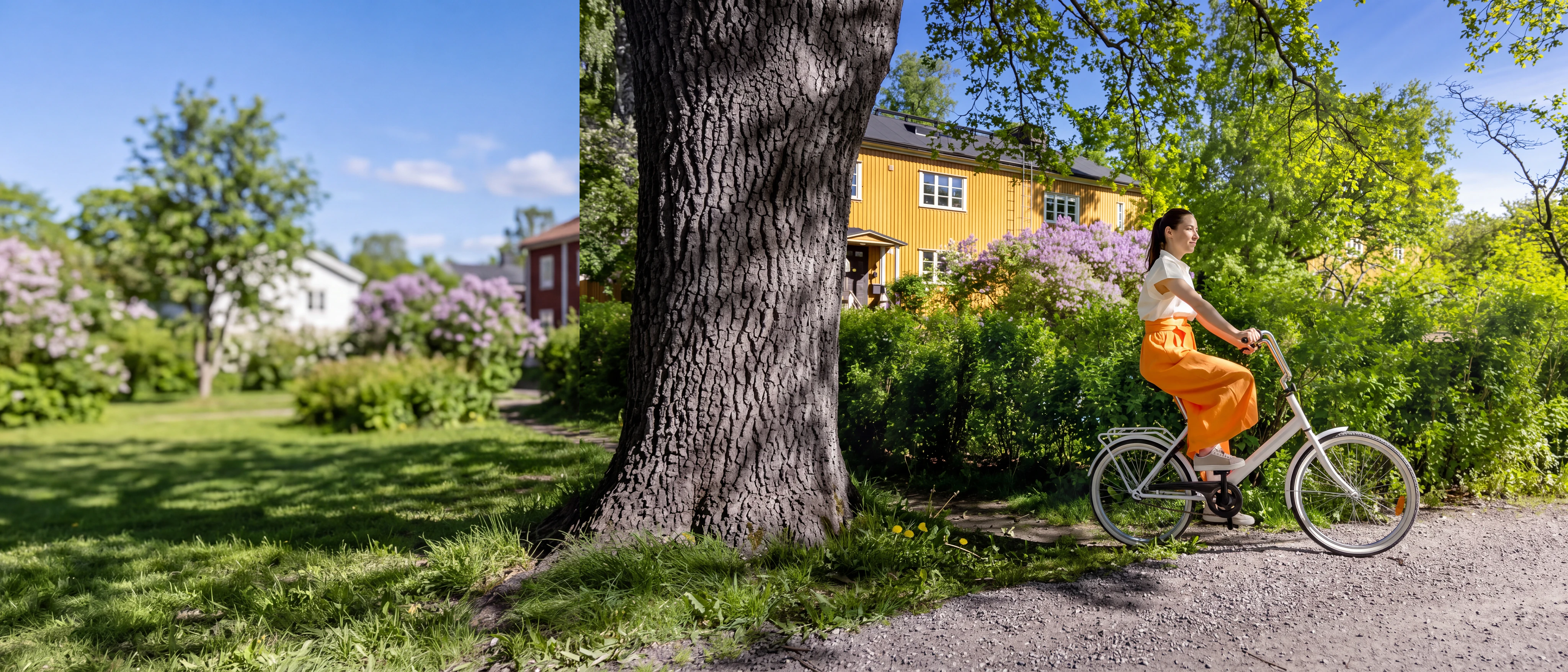 Vital Linköping