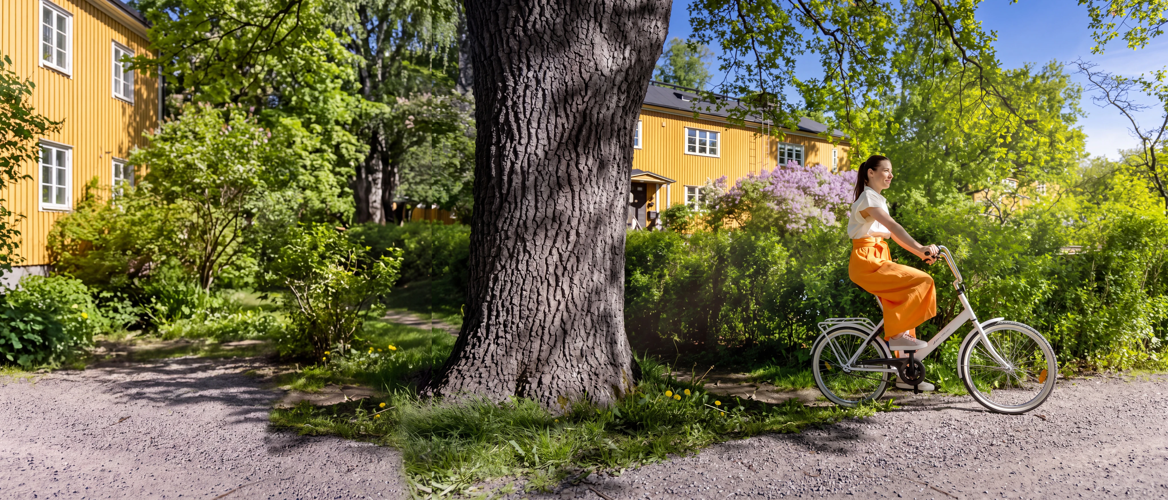 Vital Nässjö