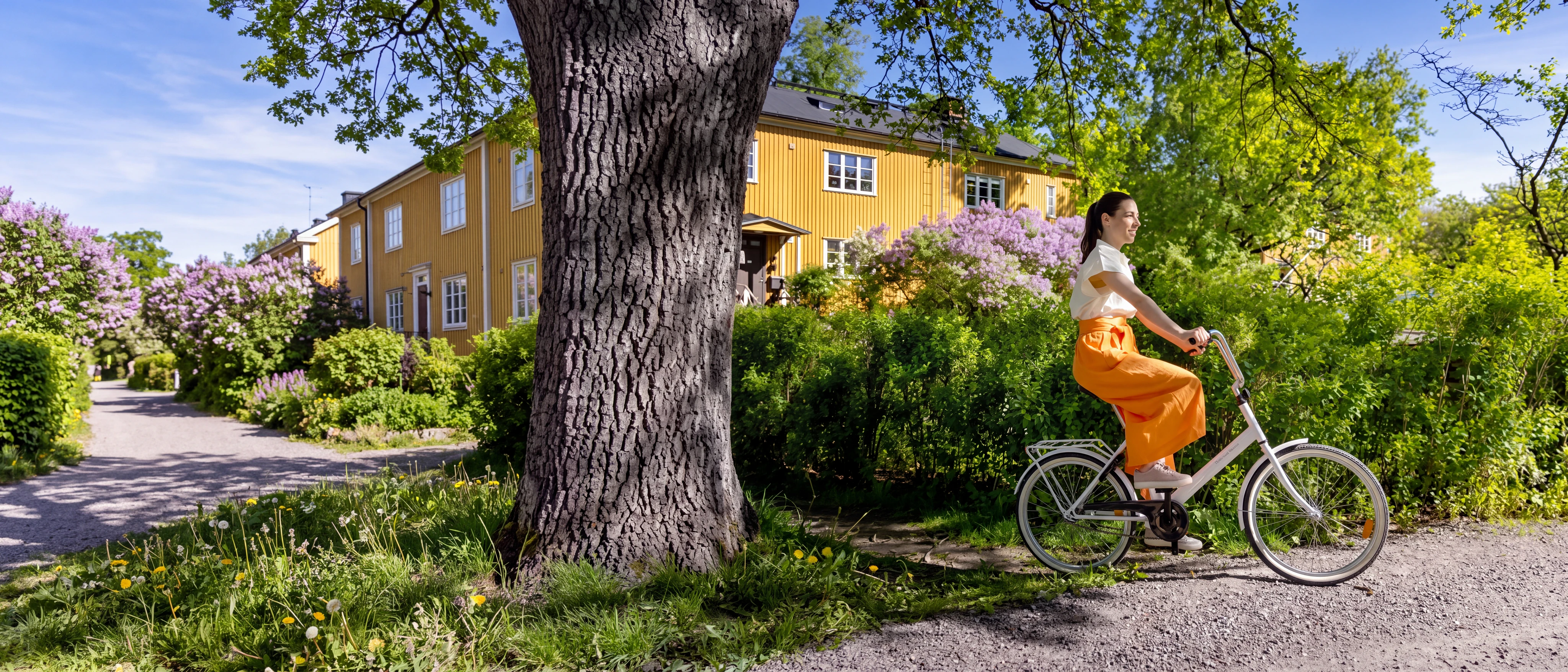 Vital Norrtälje