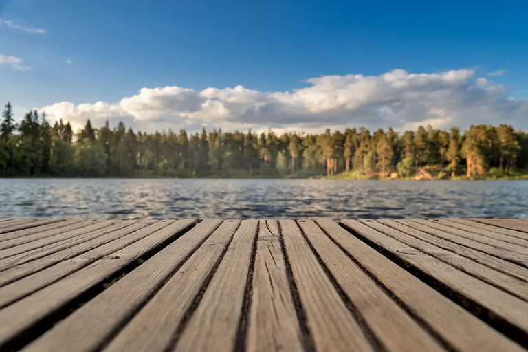 En träbrygga leder ut på en lugn sjö med en skogklädd strand i bakgrunden.